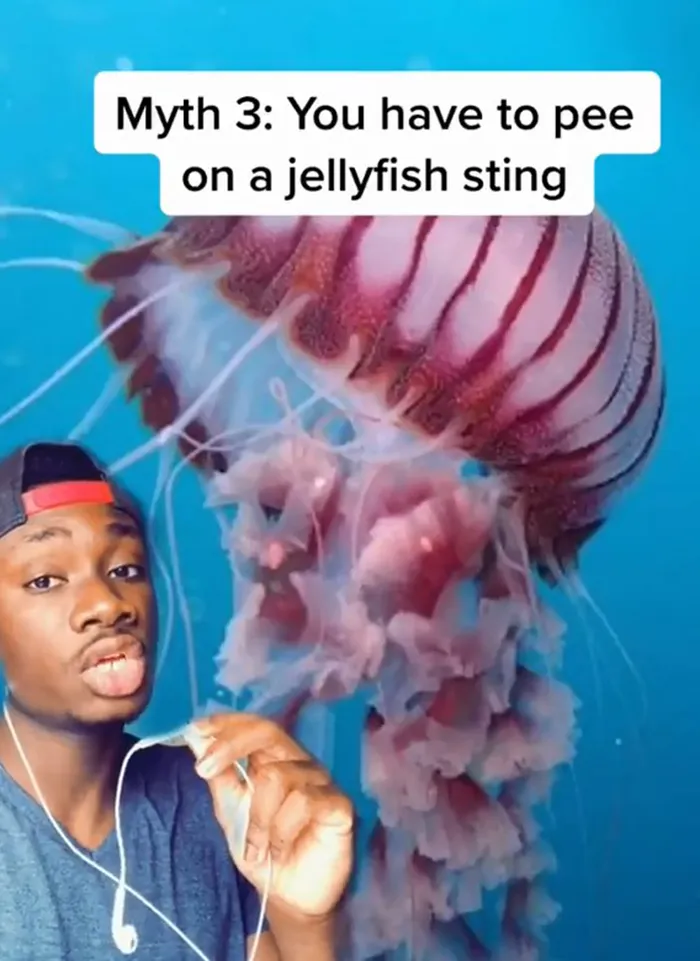 Guy Exposes 24 Animal Lies We Believe As Kids, Provides An Explanation About What Is Actually Happening