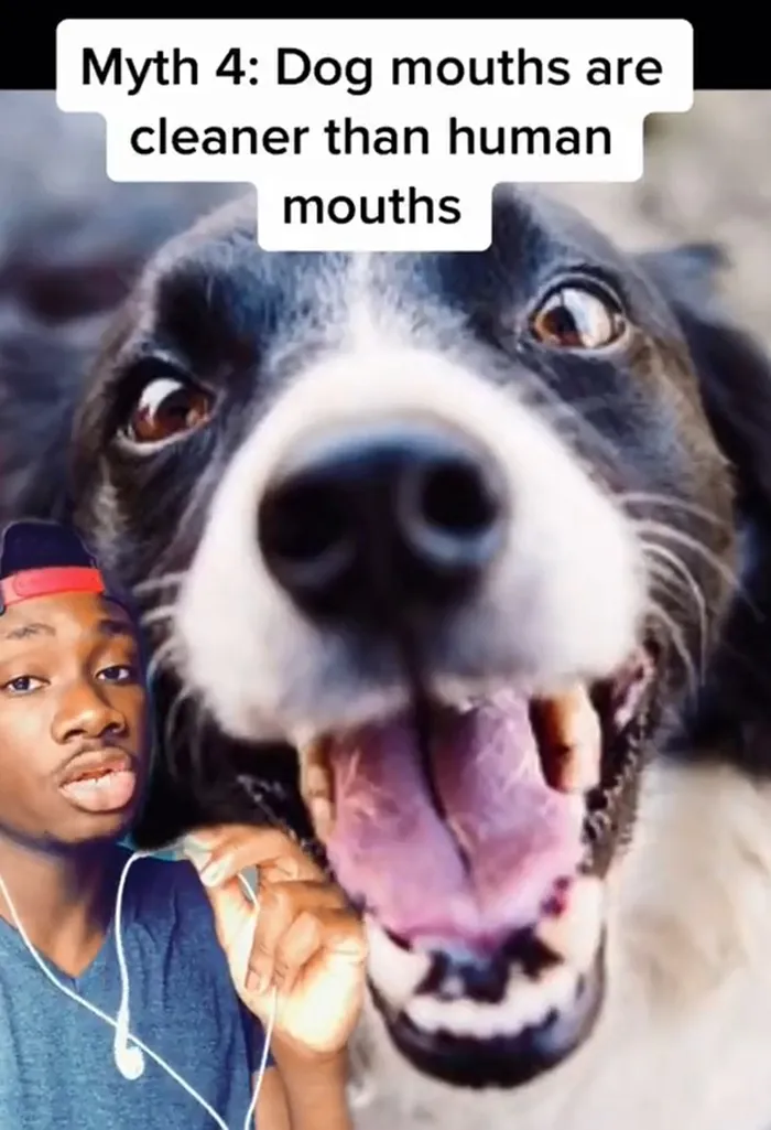 Guy Exposes 24 Animal Lies We Believe As Kids, Provides An Explanation About What Is Actually Happening