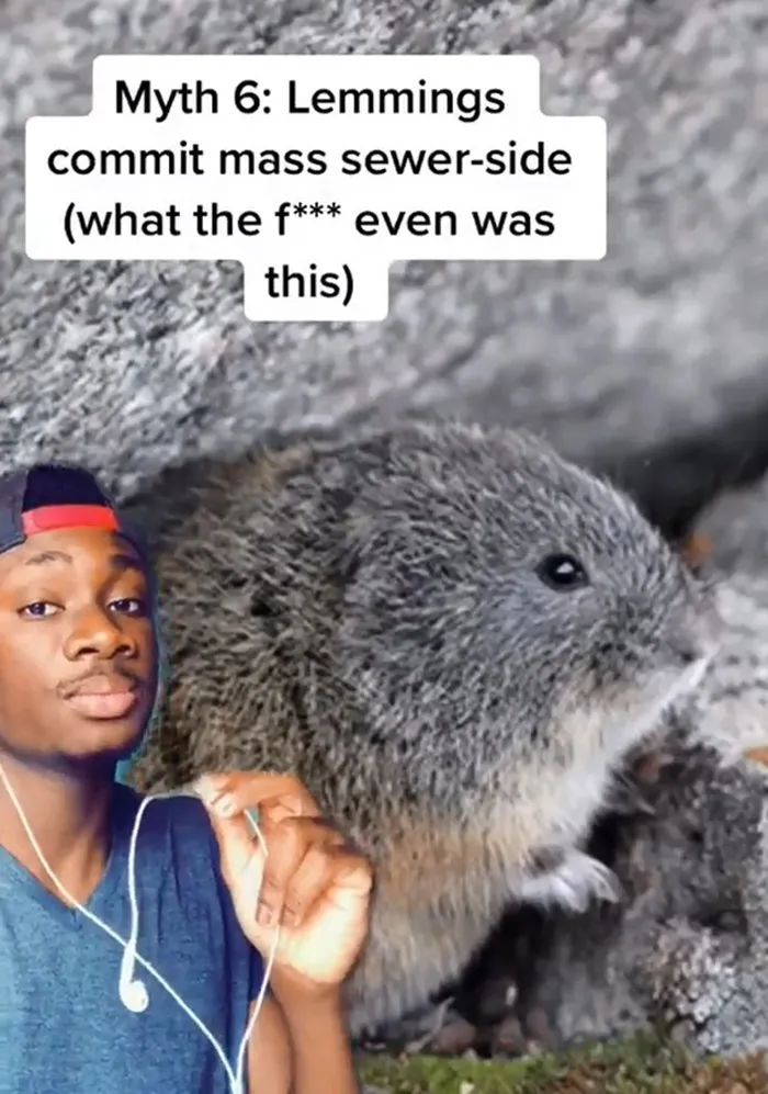 Guy Exposes 24 Animal Lies We Believe As Kids, Provides An Explanation About What Is Actually Happening
