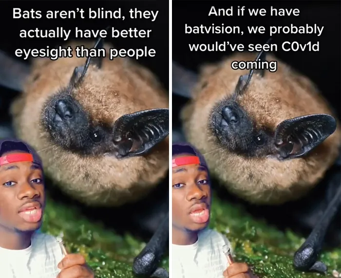 Guy Exposes 24 Animal Lies We Believe As Kids, Provides An Explanation About What Is Actually Happening
