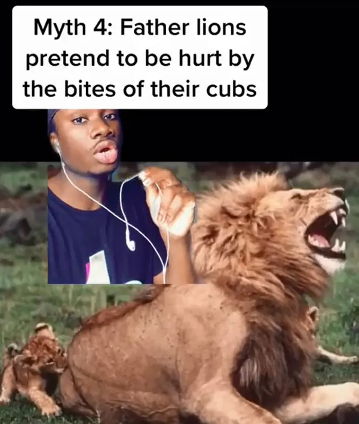 Guy Exposes 24 Animal Lies We Believe As Kids, Provides An Explanation About What Is Actually Happening