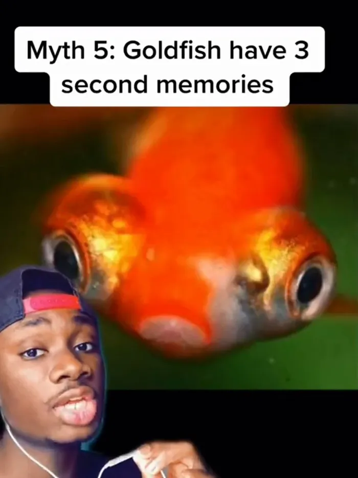 Guy Exposes 24 Animal Lies We Believe As Kids, Provides An Explanation About What Is Actually Happening