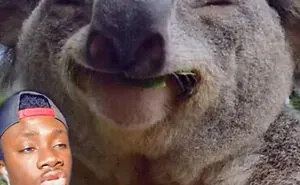 Guy Exposes 24 Animal Lies We Believe As Kids, Provides An Explanation About What Is Actually Happening