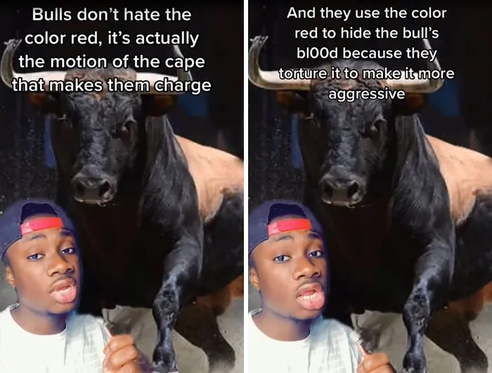 Guy Exposes 24 Animal Lies We Believe As Kids, Provides An Explanation About What Is Actually Happening