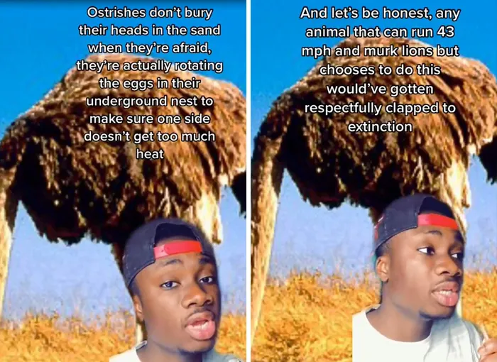 Guy Exposes 24 Animal Lies We Believe As Kids, Provides An Explanation About What Is Actually Happening