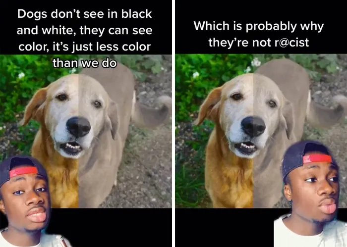Guy Exposes 24 Animal Lies We Believe As Kids, Provides An Explanation About What Is Actually Happening