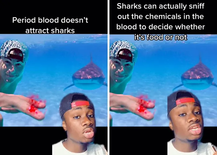 Guy Exposes 24 Animal Lies We Believe As Kids, Provides An Explanation About What Is Actually Happening