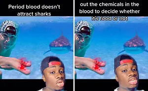 Guy Exposes 24 Animal Lies We Believe As Kids, Provides An Explanation About What Is Actually Happening