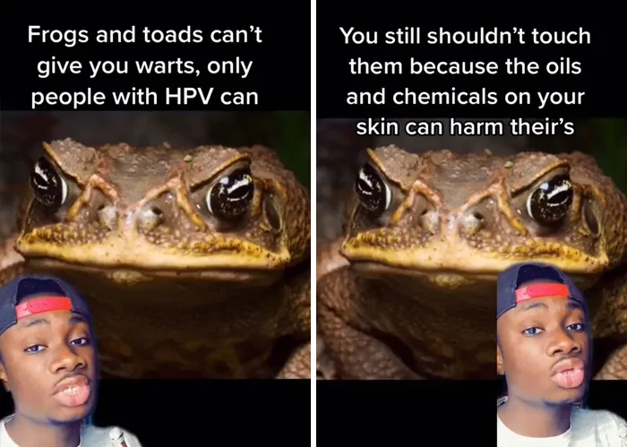 Guy Exposes 24 Animal Lies We Believe As Kids, Provides An Explanation About What Is Actually Happening