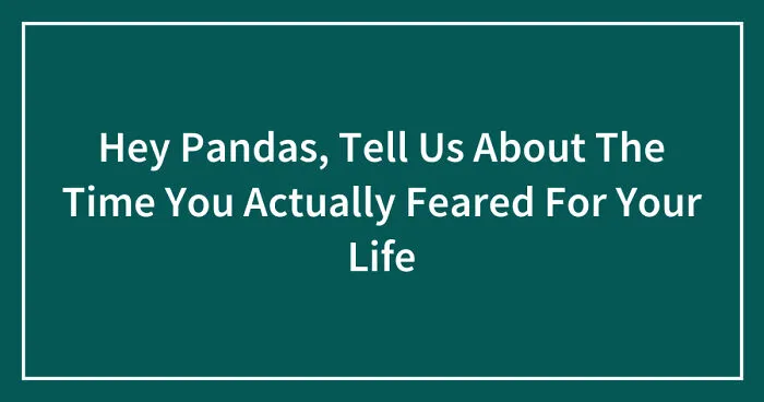 Hey Pandas, Tell Us About The Time You Actually Feared For Your Life (Closed)