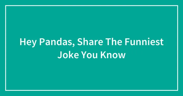 Hey Pandas, Share The Funniest Joke You Know (Closed)