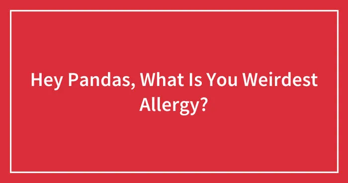 Hey Pandas, What Is You Weirdest Allergy? (Closed)