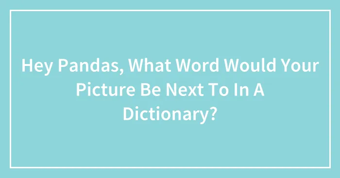 Hey Pandas, What Word Would Your Picture Be Next To In A Dictionary? (Closed)