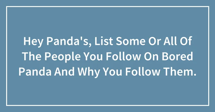 Hey Panda's, List Some Or All Of The People You Follow On Bored Panda And Why You Follow Them.