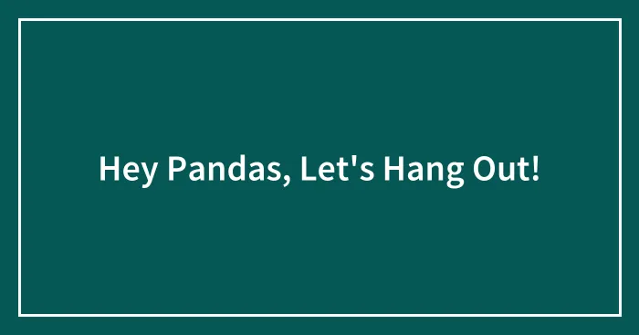 Hey Pandas, Let's Hang Out!