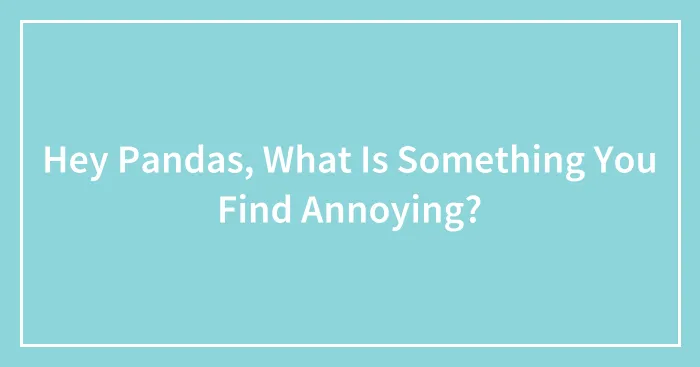 Hey Pandas, What Is Something You Find Annoying?