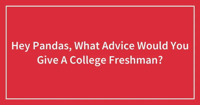 Hey Pandas, What Advice Would You Give A College Freshman? (Closed)