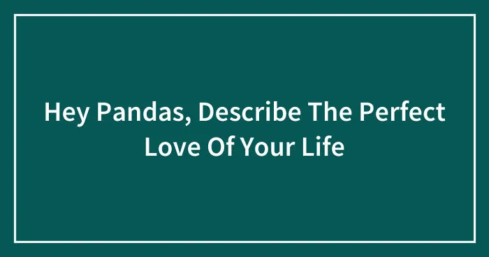 Hey Pandas, Describe The Perfect Love Of Your Life (Closed)