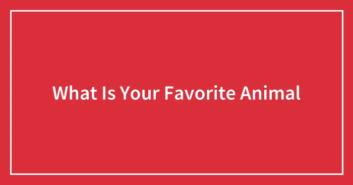 What Is Your Favorite Animal
