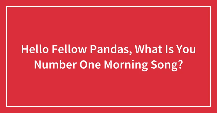 Hello Fellow Pandas, What Is You Number One Morning Song?