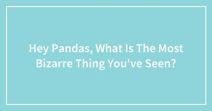 Hey Pandas, What Is The Most Bizarre Thing You've Seen? (Closed)