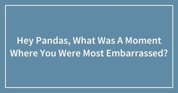 Hey Pandas, What Was A Moment Where You Were Most Embarrassed?