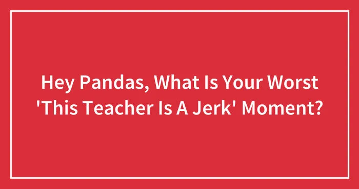 Hey Pandas, What Is Your Worst 'This Teacher Is A Jerk' Moment? (Closed)