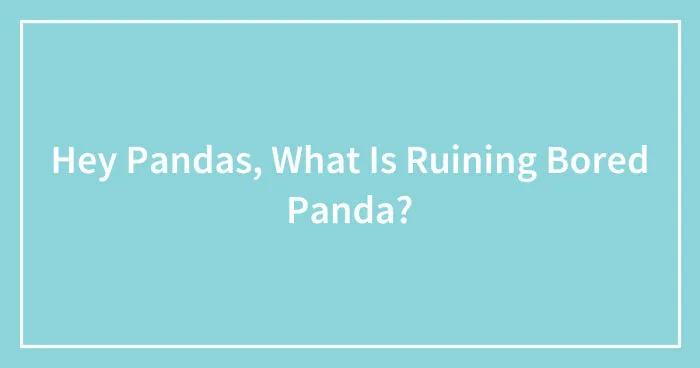 Hey Pandas, What Is Ruining Bored Panda? (Closed)