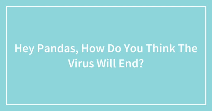 Hey Pandas, How Do You Think The Virus Will End? (Closed)
