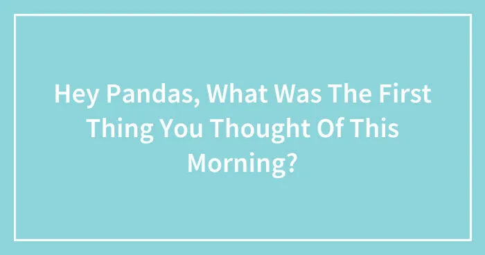 Hey Pandas, What Was The First Thing You Thought Of This Morning? (Closed)