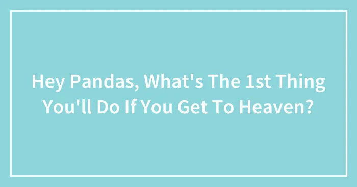 Hey Pandas, What's The 1st Thing You'll Do If You Get To Heaven? (Closed)