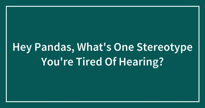 Hey Pandas, What's One Stereotype You're Tired Of Hearing? (Closed)