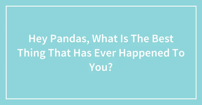 Hey Pandas, What Is The Best Thing That Has Ever Happened To You?