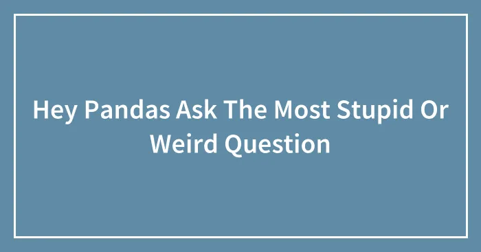 Hey Pandas Ask The Most Stupid Or Weird Question