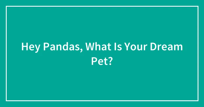Hey Pandas, What Is Your Dream Pet? (Closed)