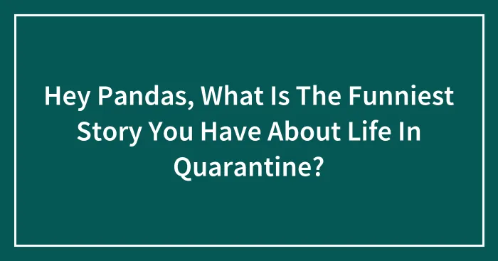 Hey Pandas, What Is The Funniest Story You Have About Life In Quarantine? (Closed)