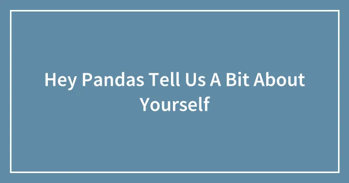 Hey Pandas Tell Us A Bit About Yourself