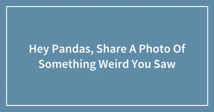 Hey Pandas, Share A Photo Of Something Weird You Saw