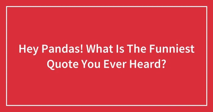 Hey Pandas! What Is The Funniest Quote You Ever Heard?