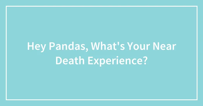 Hey Pandas, What's Your Near Death Experience?
