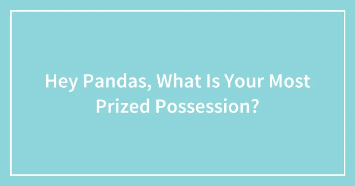 Hey Pandas, What Is Your Most Prized Possession? (Closed)