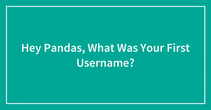 Hey Pandas, What Was Your First Username? (Closed)