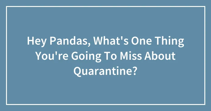 Hey Pandas, What's One Thing You're Going To Miss About Quarantine?