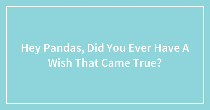 Hey Pandas, Did You Ever Have A Wish That Came True? (Closed)