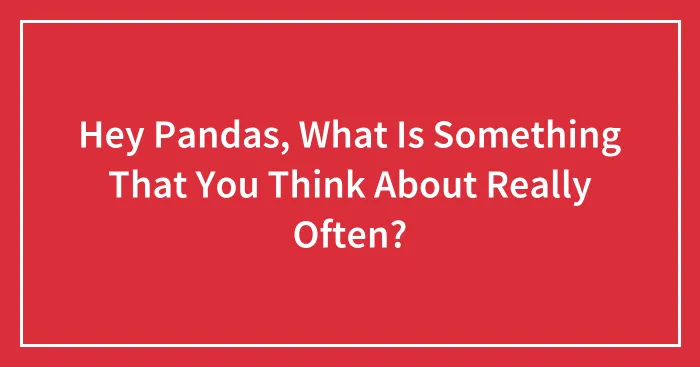 Hey Pandas, What Is Something That You Think About Really Often? (Closed)