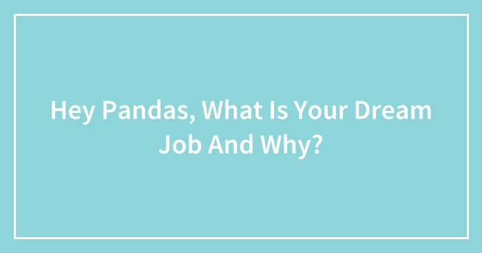 Hey Pandas, What Is Your Dream Job And Why? (Closed)