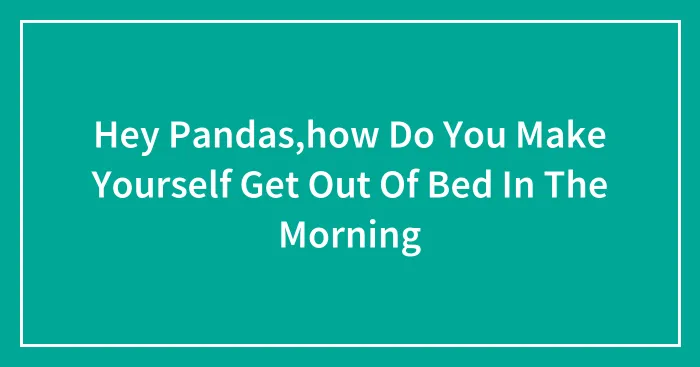 Hey Pandas,how Do You Make Yourself Get Out Of Bed In The Morning