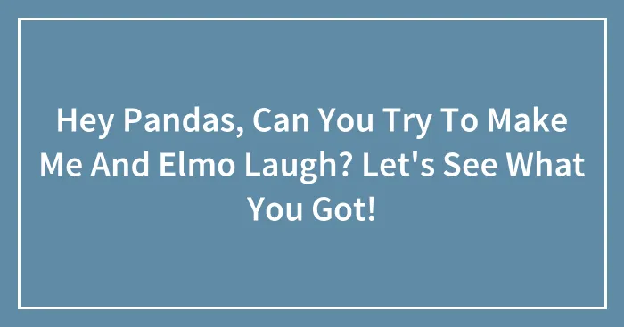 Hey Pandas, Can You Try To Make Me And Elmo Laugh? Let's See What You Got!