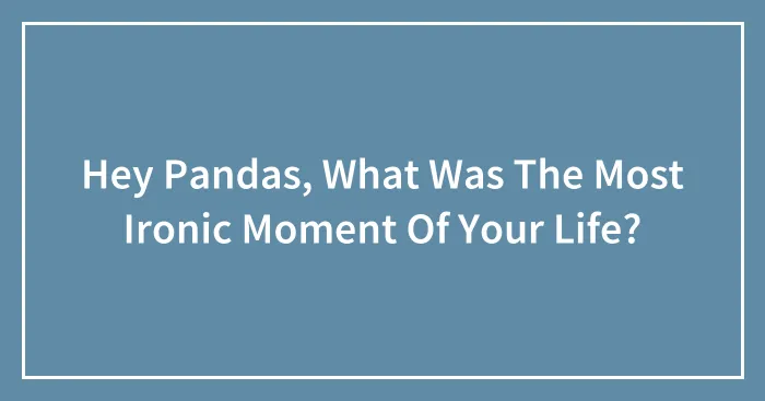 Hey Pandas, What Was The Most Ironic Moment Of Your Life? (Closed)