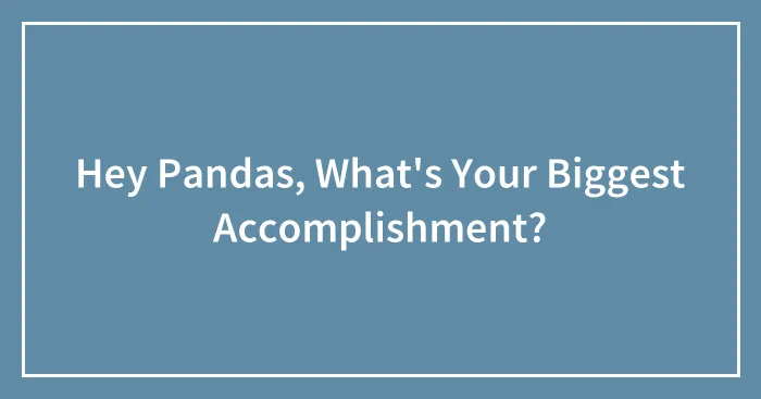 Hey Pandas, What's Your Biggest Accomplishment? (Closed)